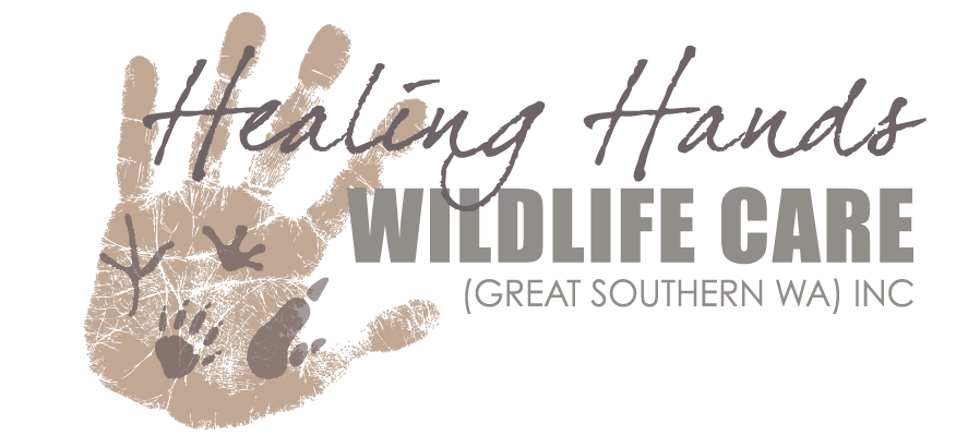 Healing Hands Wildlife Care